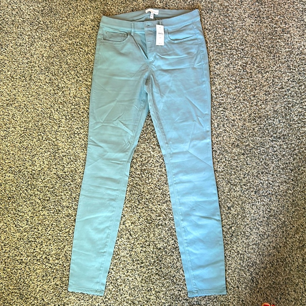 LOFT misty blue pants. More structure than leggings but very stretchy. 28 Tall